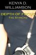 Depth of Focus: The Stanzas by Kenya D. Williamson