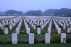 The Spirit of the Anzac by Rebecca Byfield