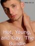 Young, Hot, and Gay: The Bundle by Riley de Lis