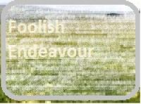 Cover for 'Foolish Endeavour'