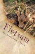 Flotsam by Stephanie  Skeem