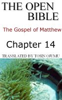 Cover for 'The Open Bible - The Gospel of Matthew: Chapter 14'