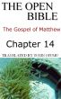 The Open Bible - The Gospel of Matthew: Chapter 14 by Open Bible Matthew