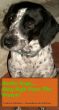 Sasha Says... Stay Safe Near The Water! by Valerie Skinner