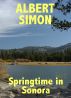 Springtime in Sonora: A Henry Wright Mystery by Albert Simon