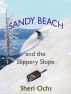 Sandy Beach and the Slippery Slope by Sheri Ochs