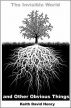 The Invisible Wolrd and Other Obvious Things by Keith David Henry