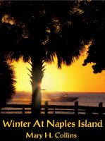 Cover for 'Winter At Naples Island'