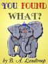 You Found What? by Belinda Landtroop