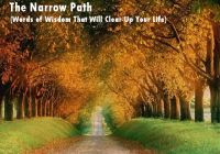 Cover for 'The Narrow Path'