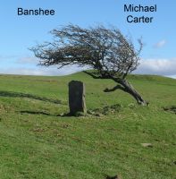 Cover for 'Banshee'