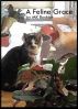 A Feline Grace by MK Bashlor