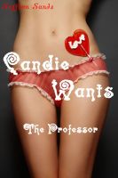 Cover for 'Candie Wants the Professor'