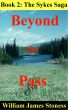 Beyond the Pass by W. James Stoness
