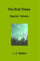 Cover for 'The End Times Special Volume'