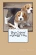 How to Train and Understand your Beagle Puppy or Dog by Vince Stead