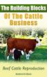 The Building Blocks of the Cattle Business: Beef Cattle Reproduction by Andrew Davis