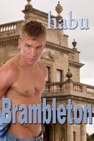 Cover for 'Brambleton (A Gay Erotica Romance)'
