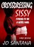 Crossdressing Sissy - Forced To Be A Hotel Maid by Jo Santana