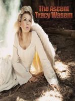 Cover for 'The Ascent'