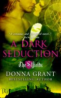 Cover for 'A Dark Seduction'