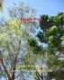 Joppa Park by Cyndia Rios-Myers