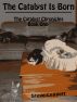 The Catalyst is Born - The Catalyst Chronicles - Book One by Steve Leggett