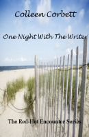 Cover for 'One Night With The Writer'