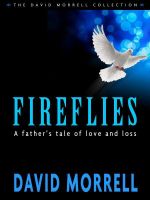 Cover for 'Fireflies: A Father's Classic Tale of Love and Loss'