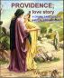 Providence; a love story by Wayne Tilden