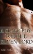 A Slave Boy For the Elven Lord by Lilith Kinke