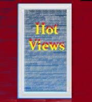 Cover for 'Hot Views'