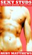 Sexy Studs (An Erotica Quickie Collection) by Ruby  Matthews