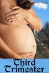 Third Trimester by Trixie Yale