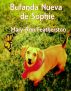 Bufanda Nueva de Sophie by Mary Ann Featherston
