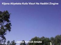 Cover for 'Kijana Aliyetaka Afe Vizuri Na Hadithi Zingine'