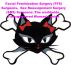 Facial Feminization Surgery (FFS) Surgeons,  Sex Reassignment Surgery (SRS) Surgeons: The worldwide Transgendered Woman's guide by Trinity Rose