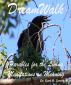 Dream Walk - Parables for the Living by Dr. Earl R Smith