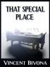 That Speical Place: A Short Story by Vincent Bivona
