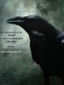 Who Holds The Torch for Eddie? A Search for the Elusive Poe Toaster by Lisa Rene Reynolds
