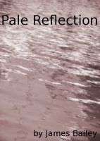 Cover for 'Pale Reflection'