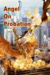 Angel on Probation by Don Miller