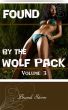 Found By the Wolf Pack by Brandi Storm