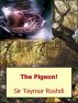 The Pigeon! by Teymur Roshdi