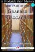The Case of the Grabbed Geocache: A 15-Minute Broderick Mystery by Caitlind Alexander