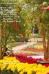 Inspirational Stories - Set I by Dorothy Paula Freda
