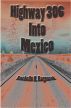 Highway 306 into Mexico by Rochelle Ragnarok