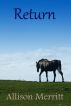 Return by Allison Merritt