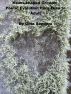 Heart-Shaped Growth: Poetic Evolution from Teen to Adult by Gina Sanders