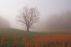 BEING WITH PEACE AND CONTENTMENT  (while being tough) by ray lemieux
